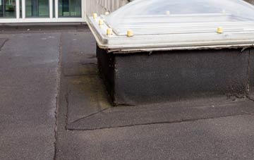 disadvantages of Cholstrey flat roofs